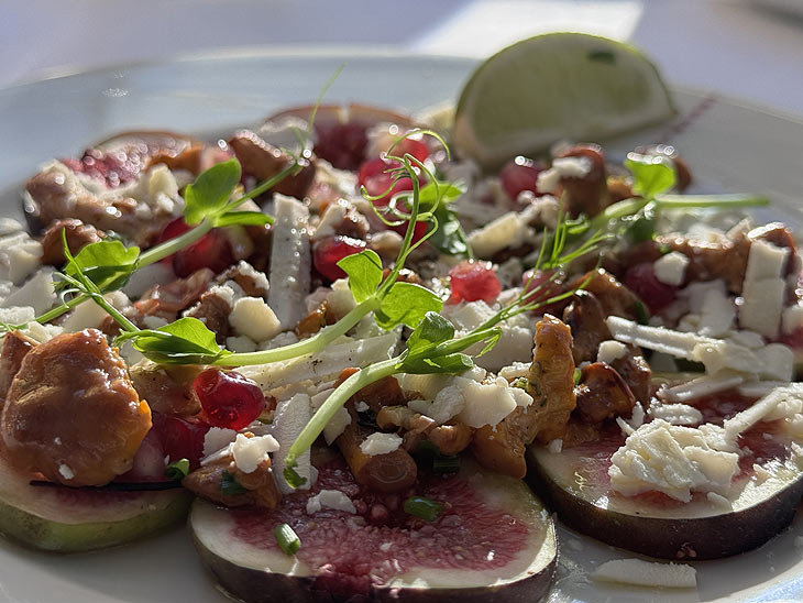 italienische Feigen und marinierte Pfifferlinge mit cremigem Büffel-Ricotta und Granatapfelkernen (©Foto: Martin Schmitz)
